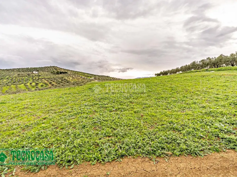 Terrenos en venta en Alozaina