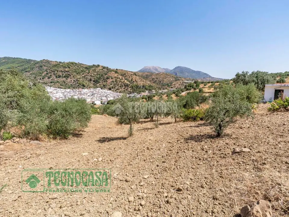 Terrenos en venta en Tolox