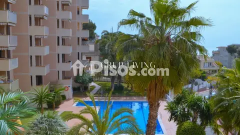 Piso en Vallpineda