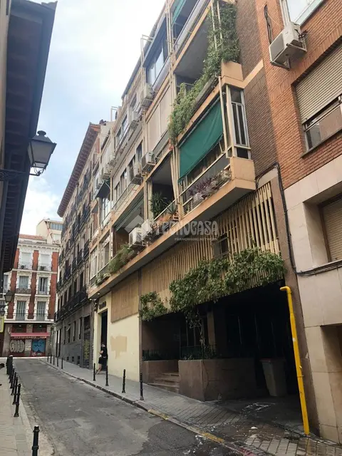 Piso en alquiler en Calle Dos Amigos en Moncloa - Aravaca en Madrid
