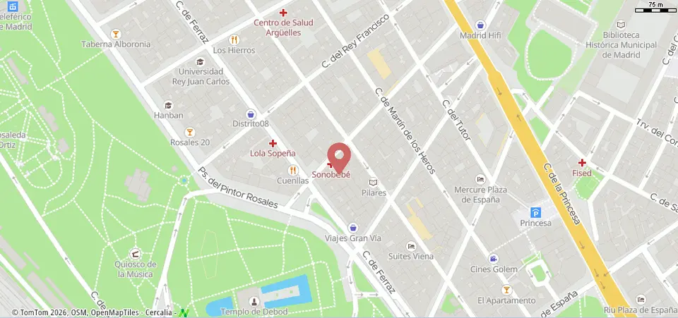 Piso en calle de Evaristo San Miguel, 17
