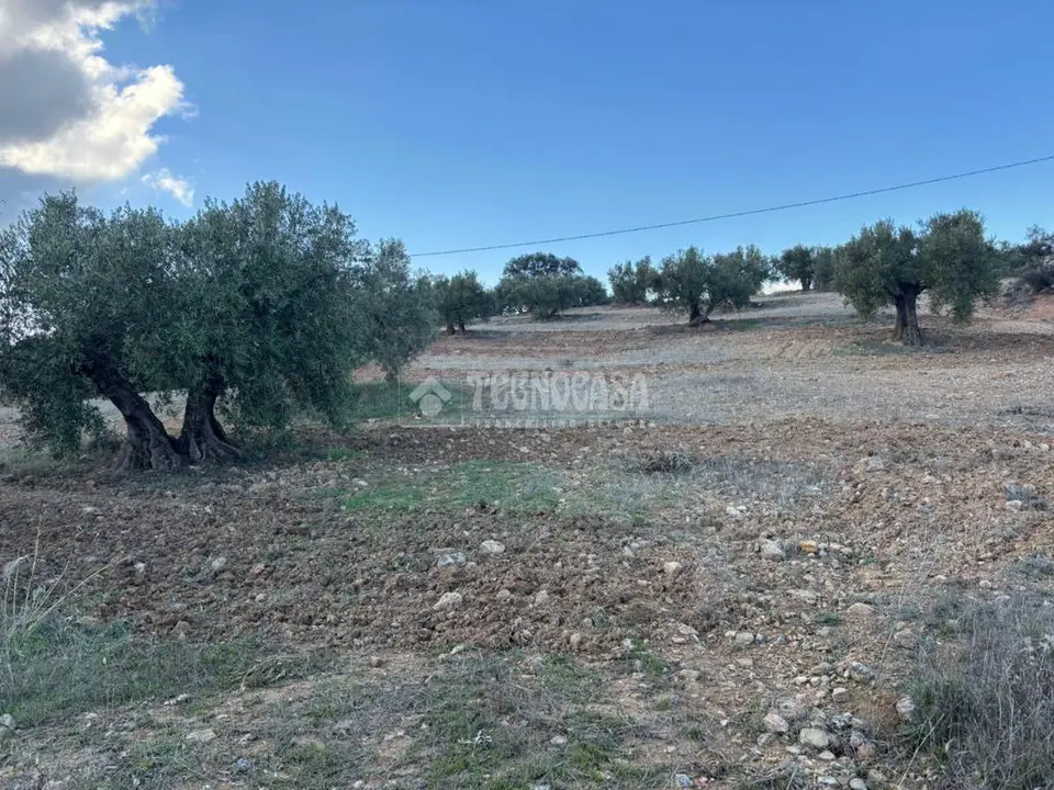 Terrenos en venta en Antequera
