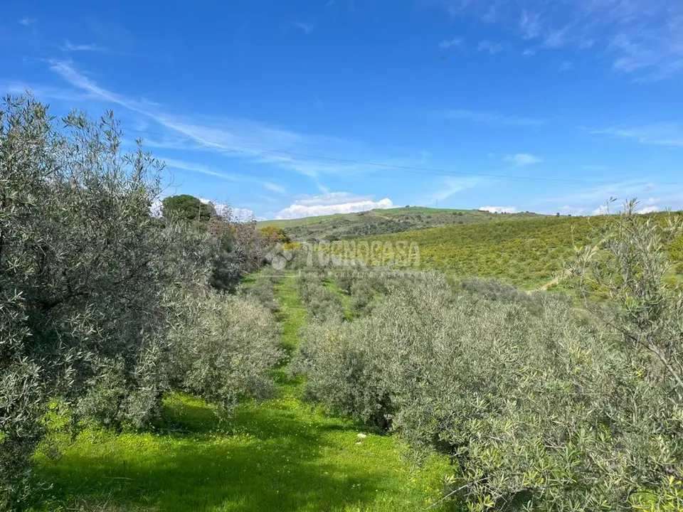 Terrenos en venta en Virgen del rocio en Pizarra