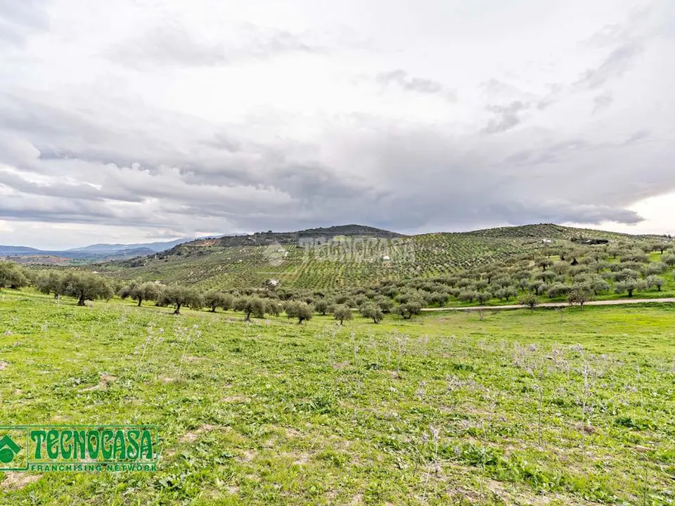 Terrenos en venta en Alozaina
