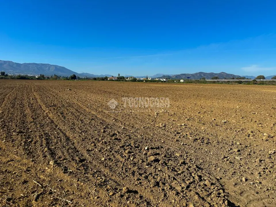 Terrenos en venta en Alhaurín De La Torre