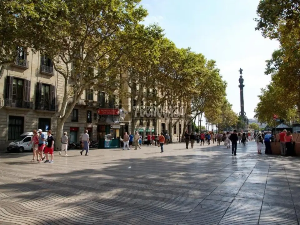 Local comercial en venta en Ciutat Vella en El Raval en Barcelona